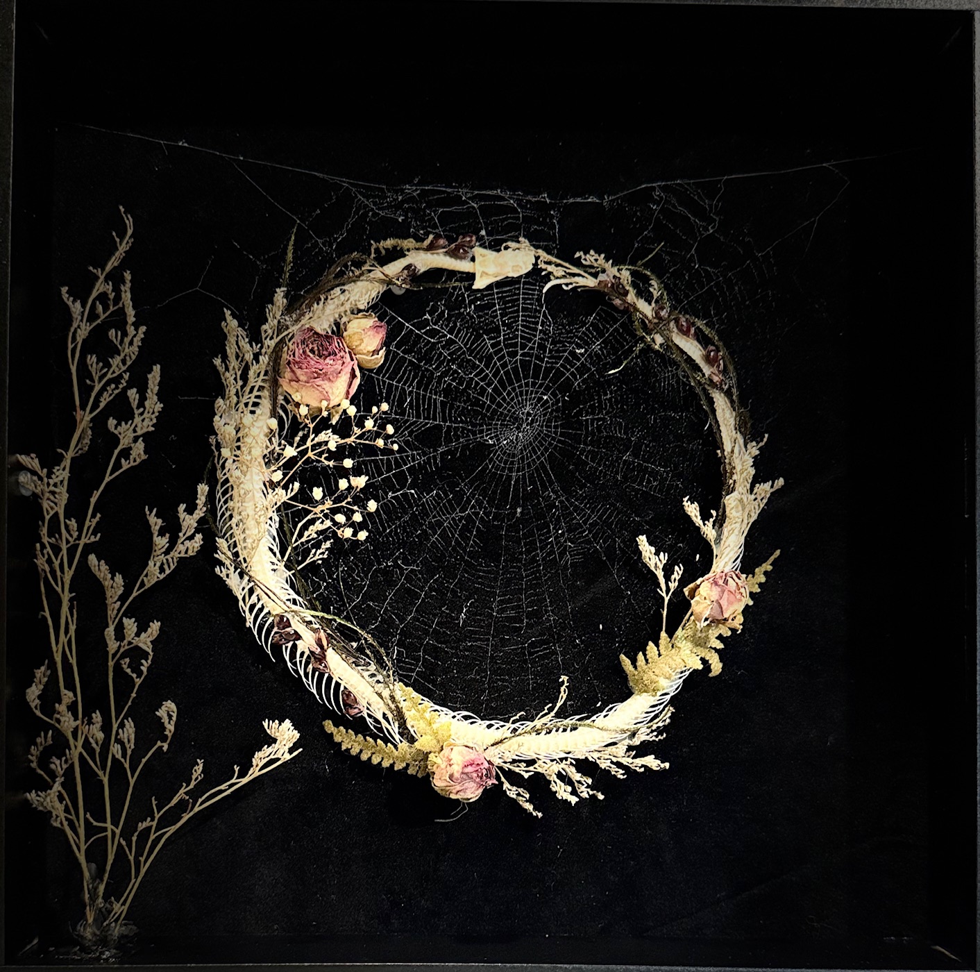 Ouroboros